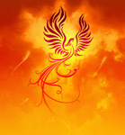 Phoenix's Avatar